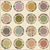 Escape Quilt Pattern by Edyta Sitar from Laundry Basket Quilts, LBQ-1146-P
