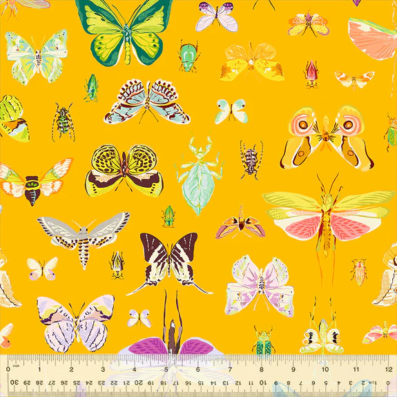 Cotton Fabric ON DISPLAY 54652-1 Amber, Insectarium Collection by Tamara Kate for Windham