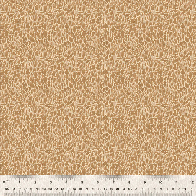 Cotton Fabric Morel 54776D-12 Tan, FOREST FRUITS Collection from Betsy Olmsted for Windham