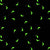 GLOW in the DARK Fabric SCATTERED DOLPHINS 2 Bright Pink from Ocean Glow Collection By Lewis and Irene D#A782 C#2