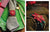 Inspirations - Embroidery Magazine from Australia, Issue #128, A SPECIAL TOUCH