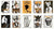 Quilt Pattern CABIN CHILLS by Janet Wecker-Frisch by Joy Studio, # P149-CABINCHILLS