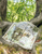 Book WOODLAND WALKS by Tilly Rose, Search Press Publication