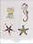 Modern Japanese Embroidery Stitches by Noriko Tsuchihashi, from Tuttle Editions