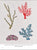 Modern Japanese Embroidery Stitches by Noriko Tsuchihashi, from Tuttle Editions