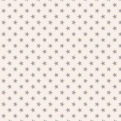 Fabric TIL130039-V11 Tilda- Basic Classics Tiny Star Grey