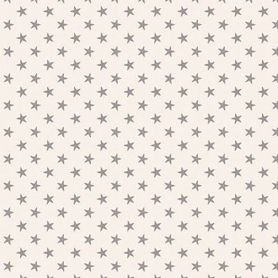 Fabric TIL130039-V11 Tilda- Basic Classics Tiny Star GREY